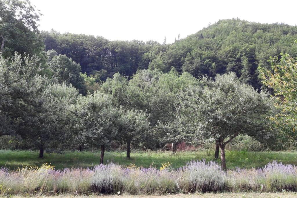 Gite "Entre Champsaur Et Valgodemard" Saint-Jacques-en-Valgodemard Esterno foto